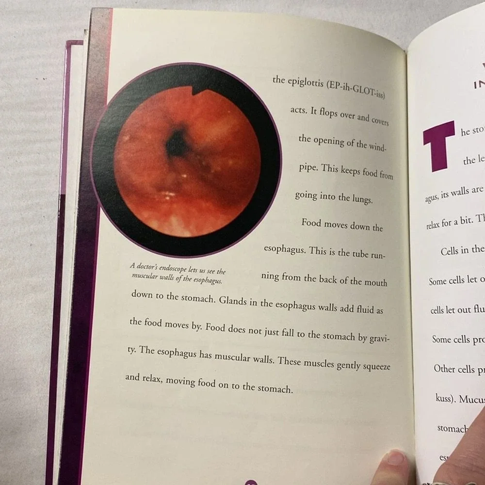 The Digestive System Human Body‎ by Susan Gray Core Learning Library Book Kids